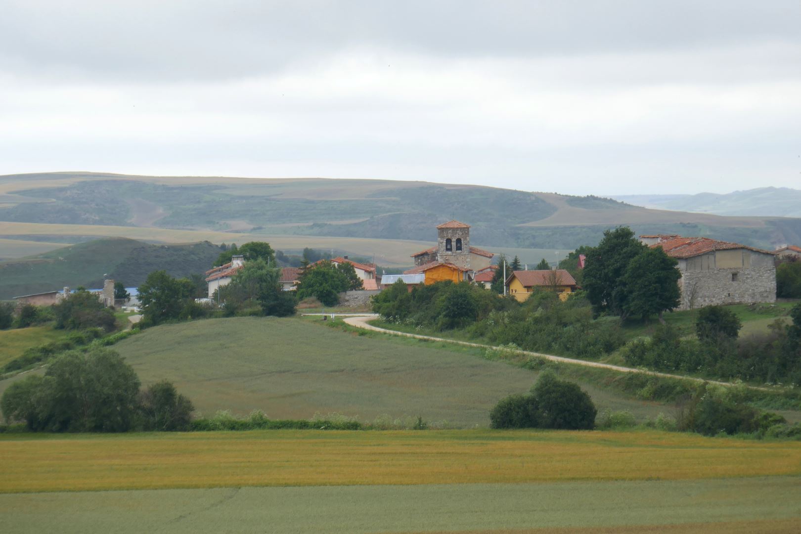 Espinosa del camino