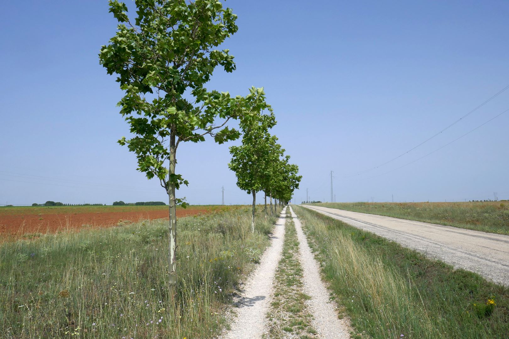 30 km enolične poti