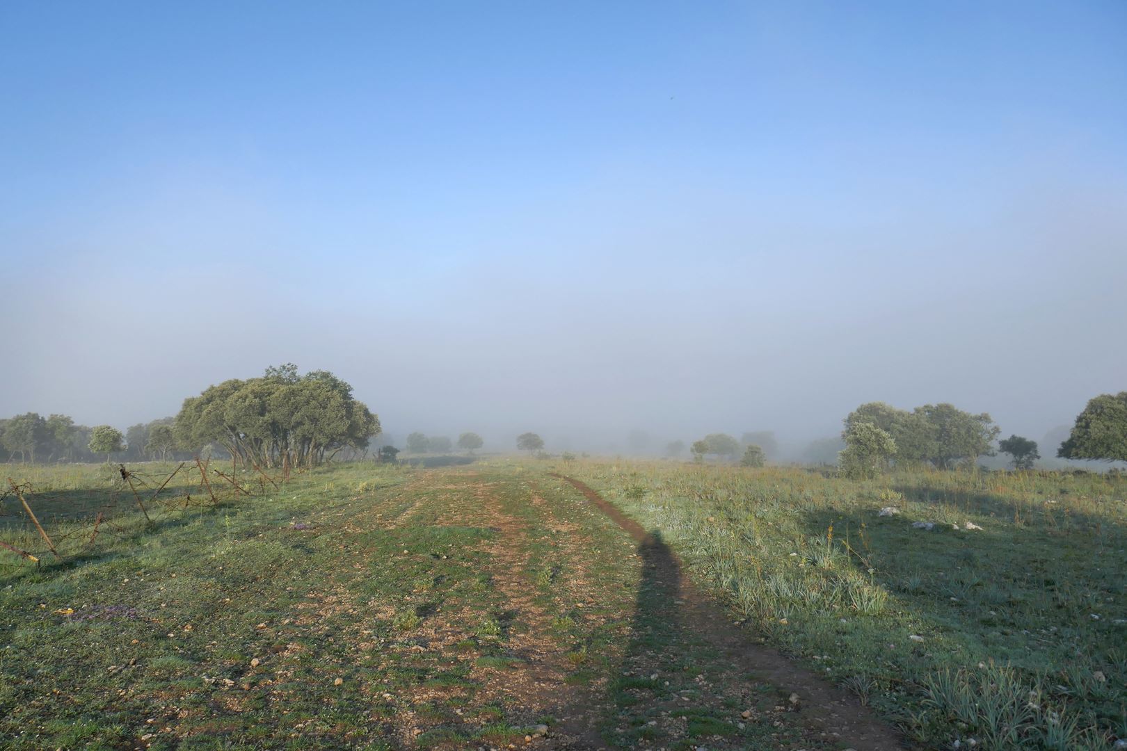 Končno nad meglenim pokrovom