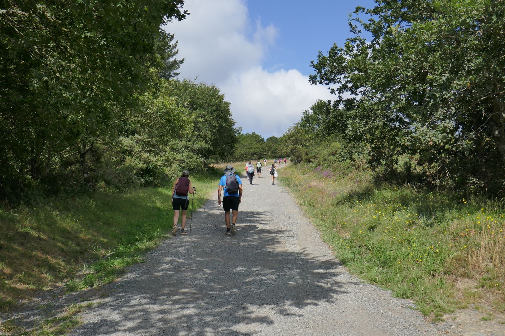 Množice turistov na poti in peščica romarjev