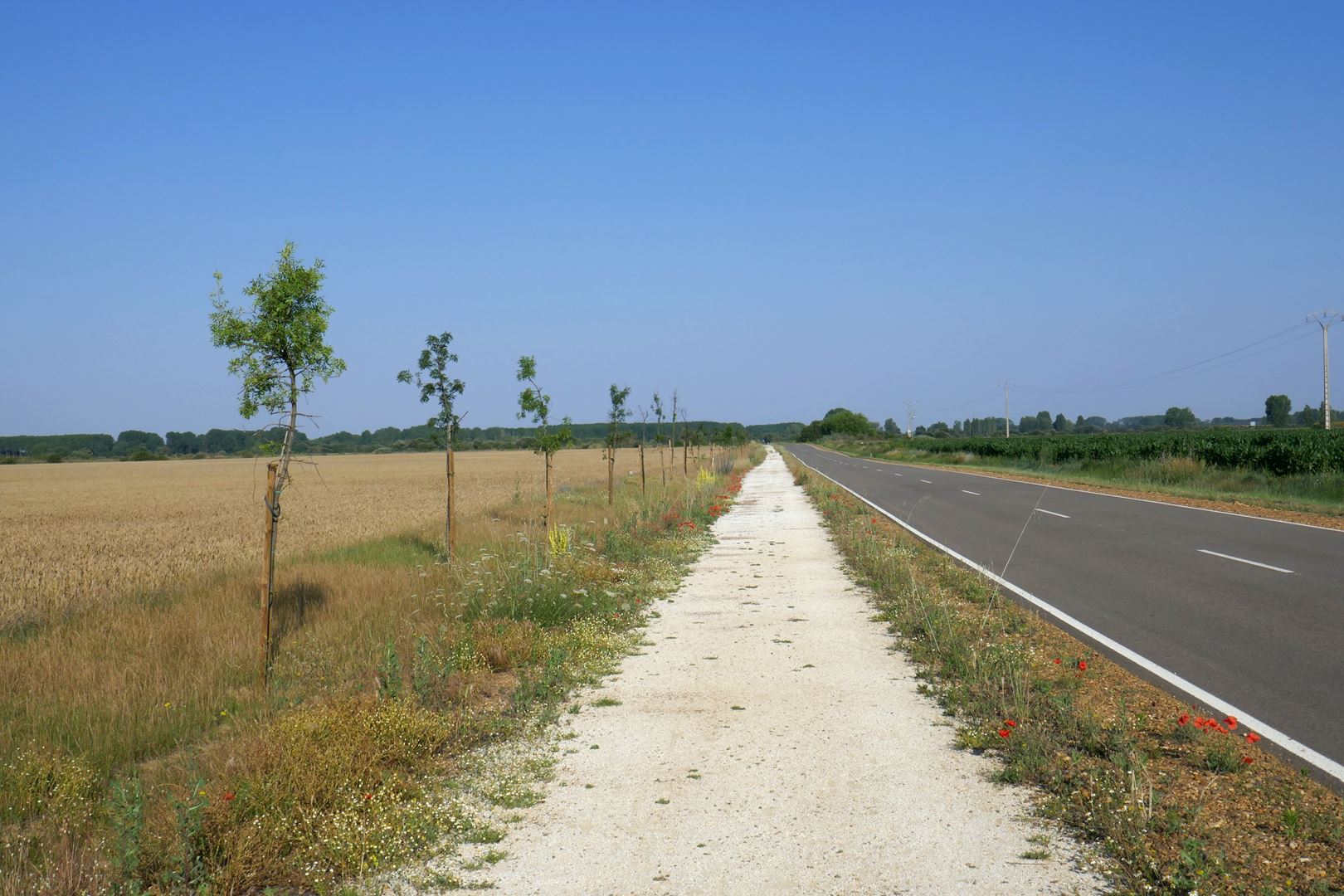 Nadaljevanje poti