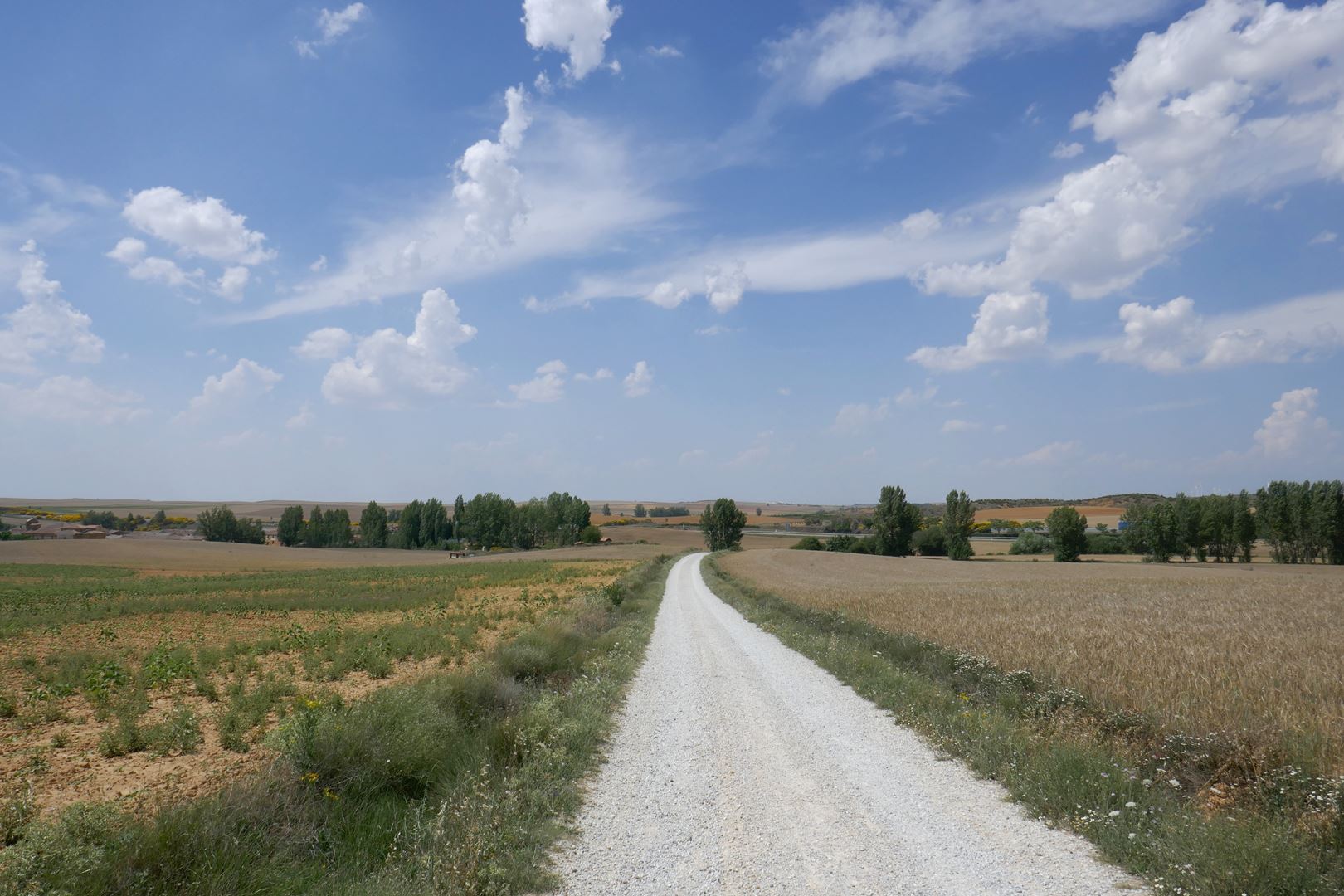 Nadaljevanje poti