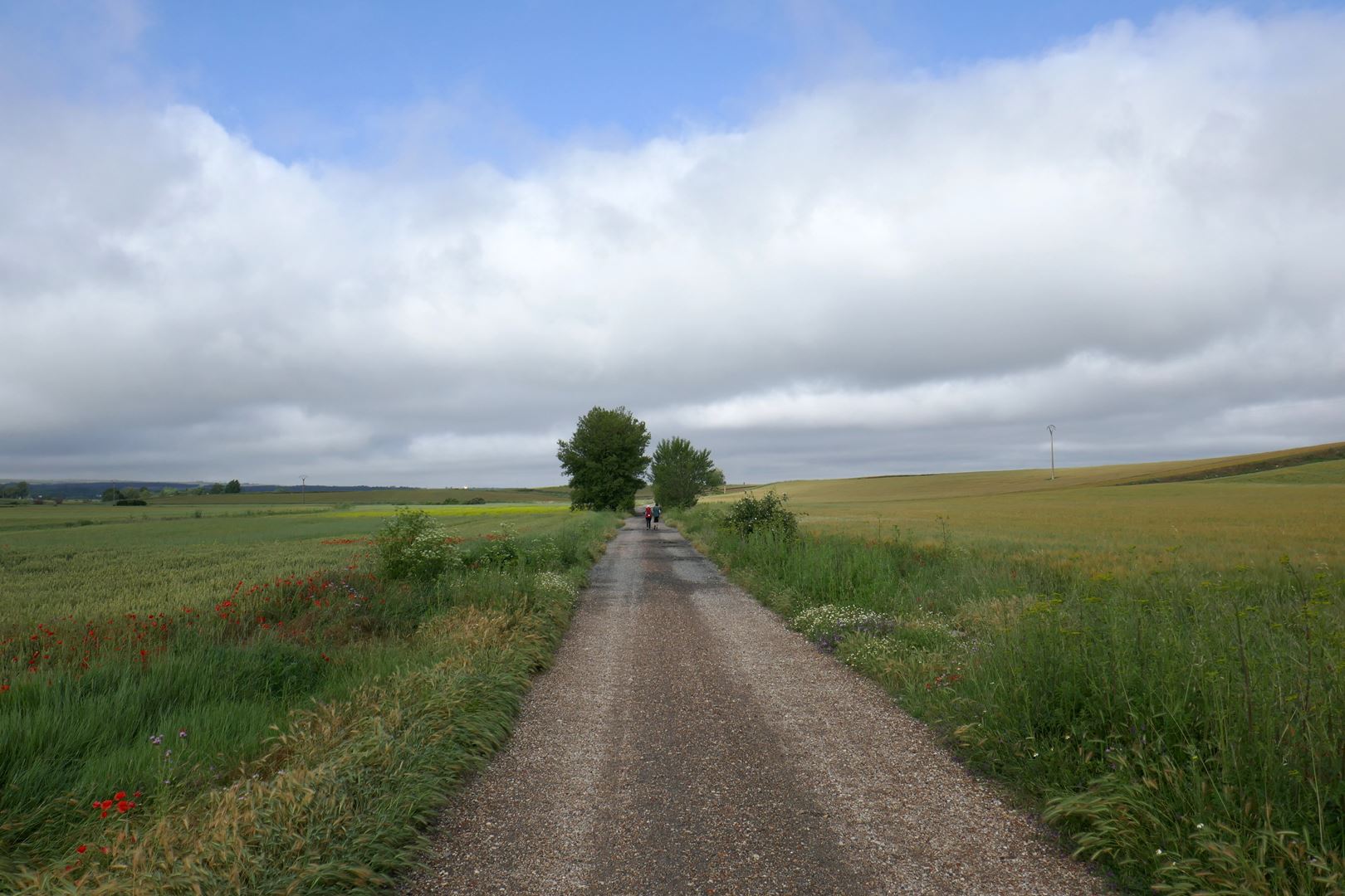 Neskončna ravnina - Meseta