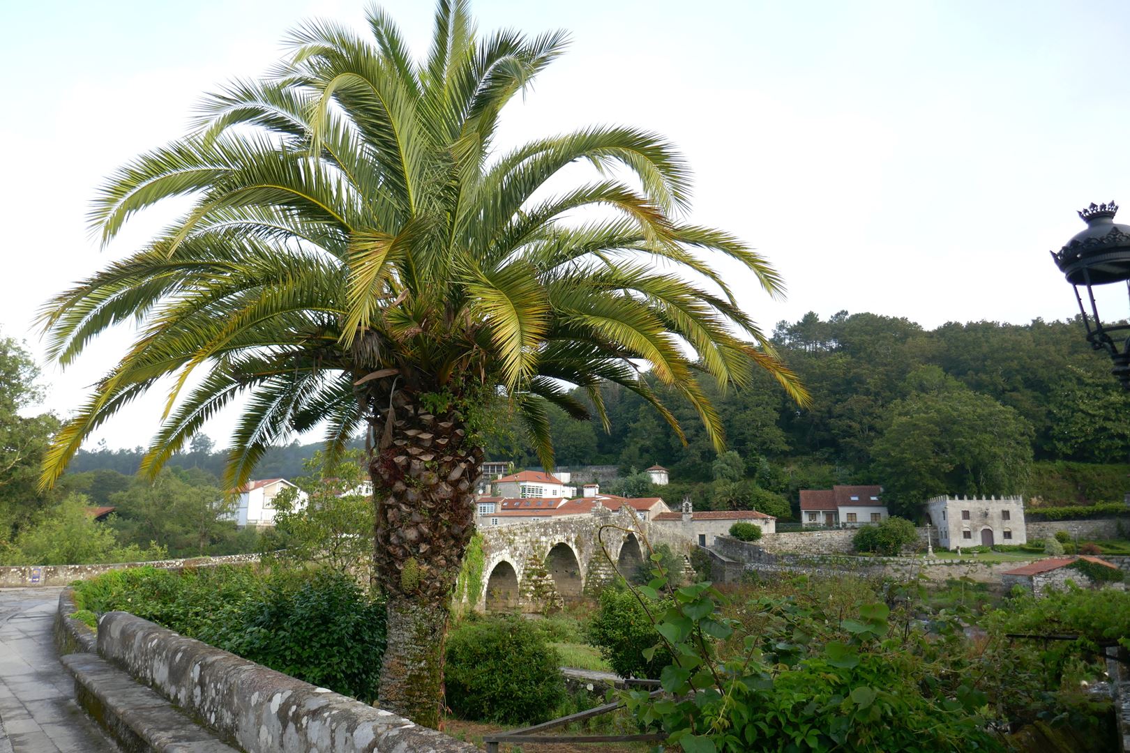 Ponte Maceira