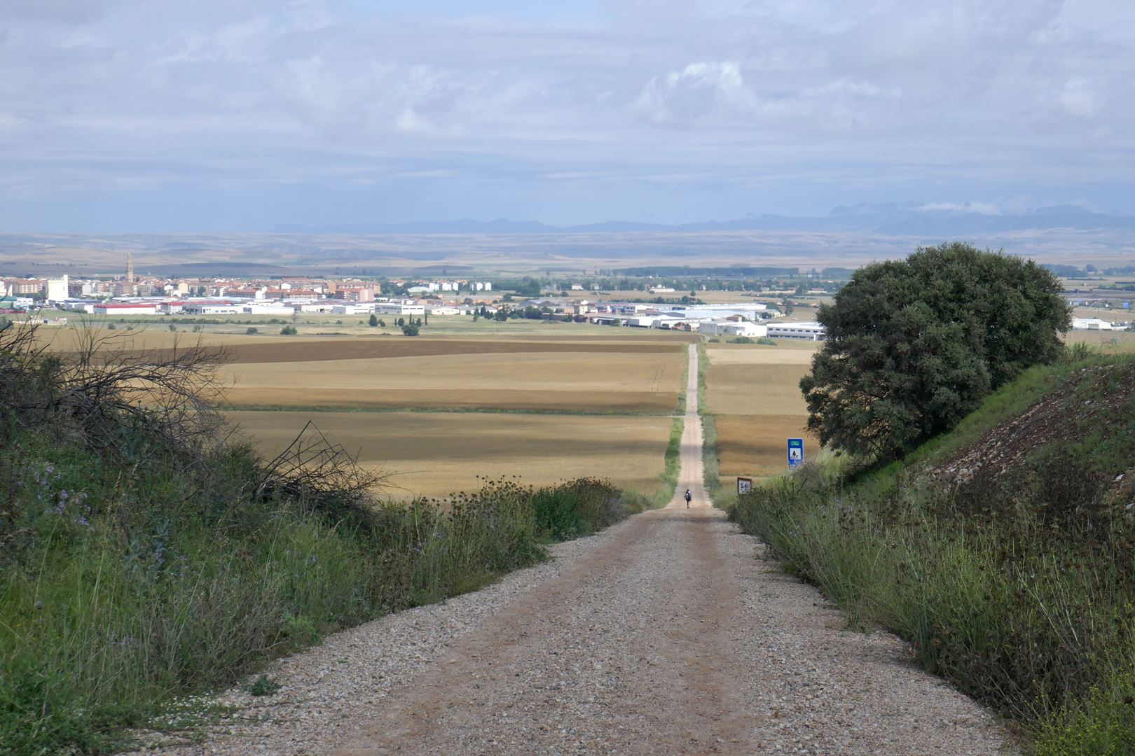 Santo Domingo de la calzada