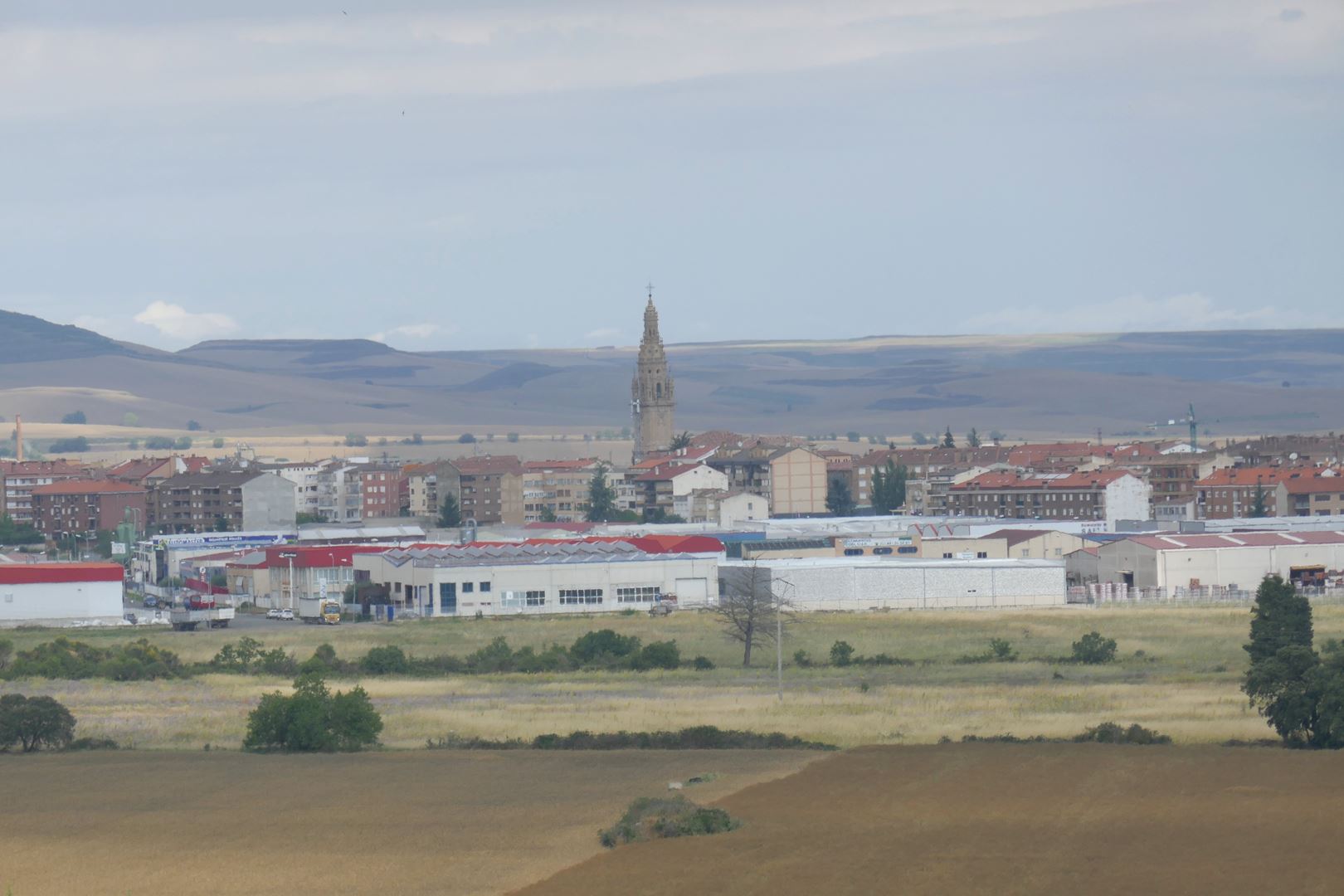 Santo Domingo de la calzada