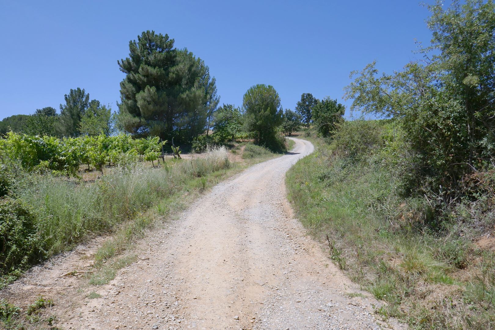 Valovita pokrajina