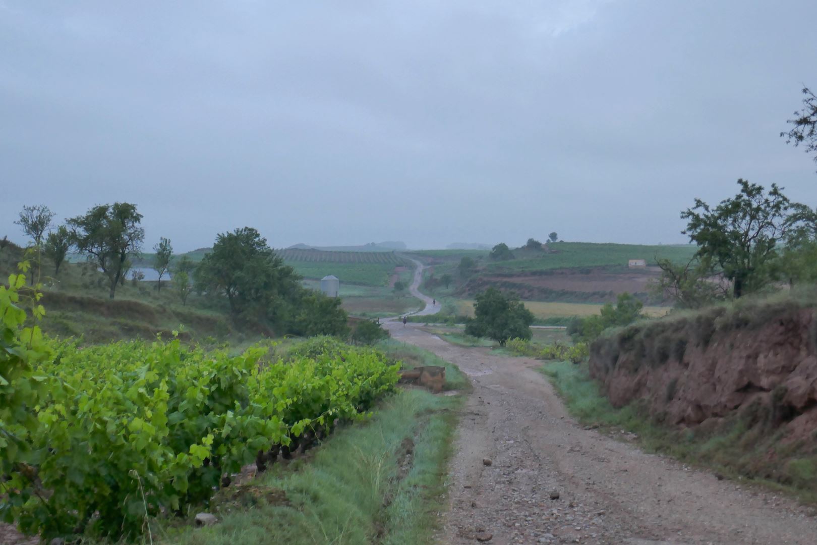 Valovita pokrajina La Rioja