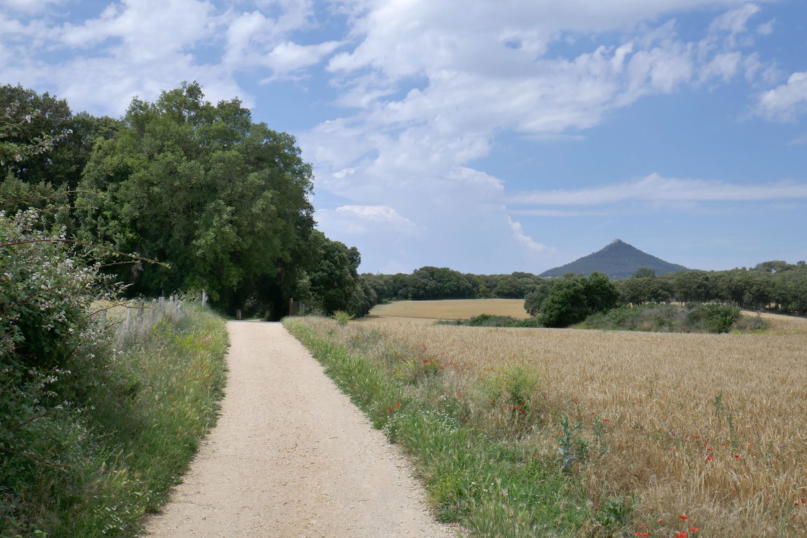 Valovita pokrajina Navarra