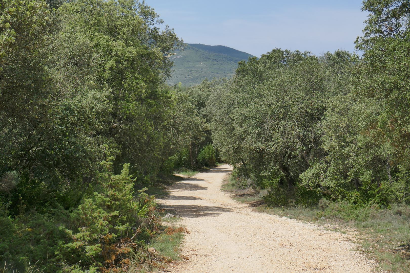 Valovita pokrajina Navarra