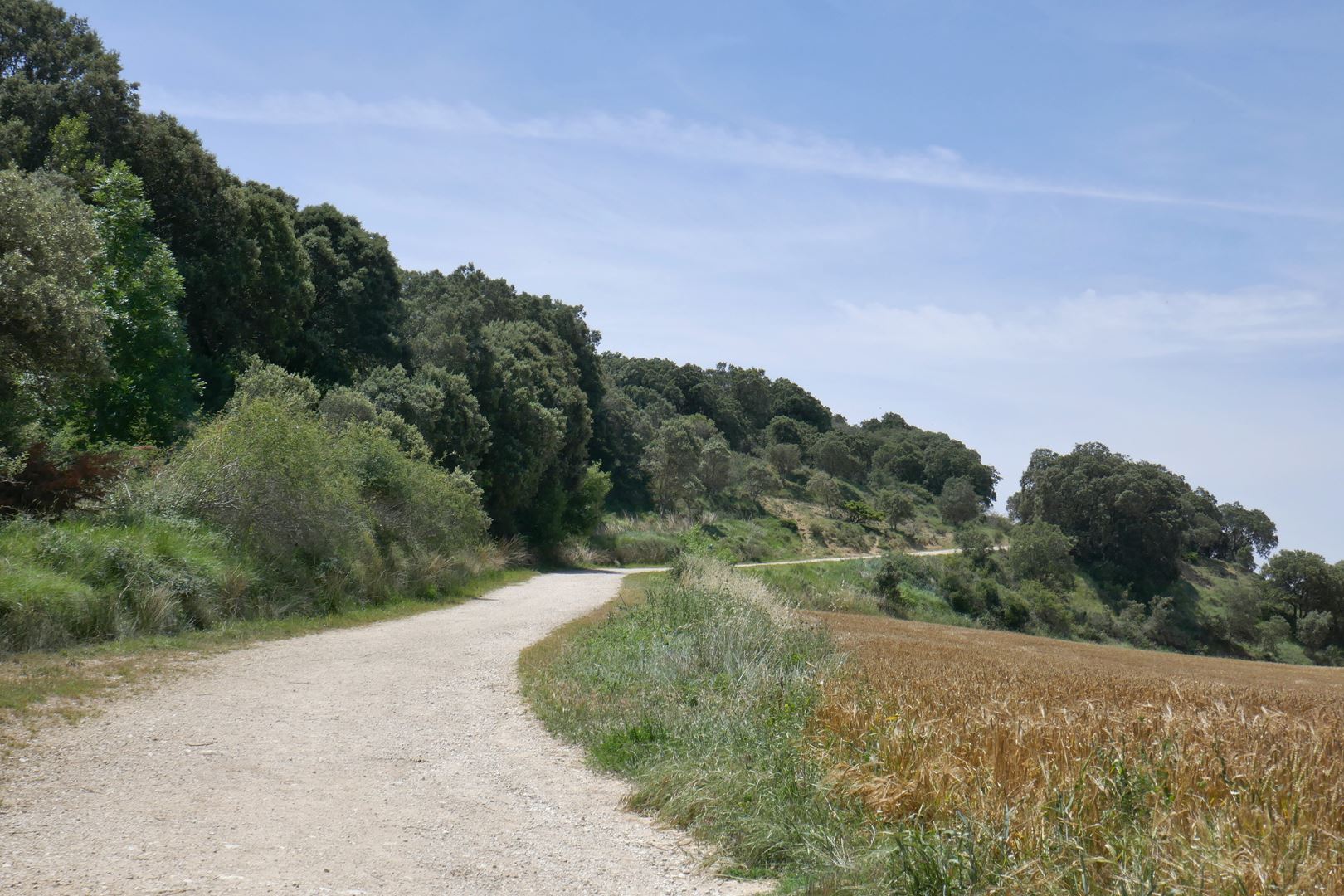 Valovita pokrajina Navarra