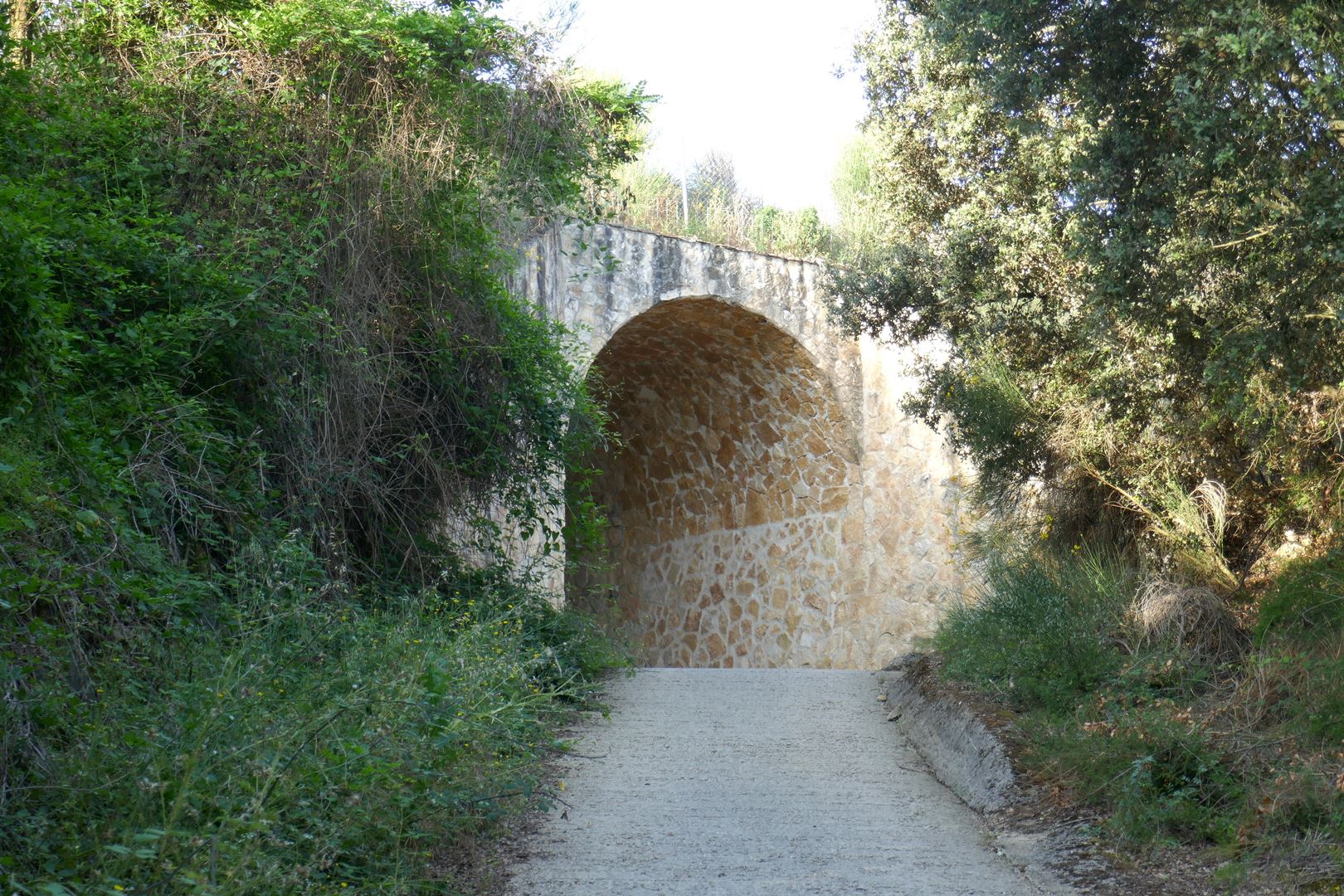 Valovita pokrajina Navarra