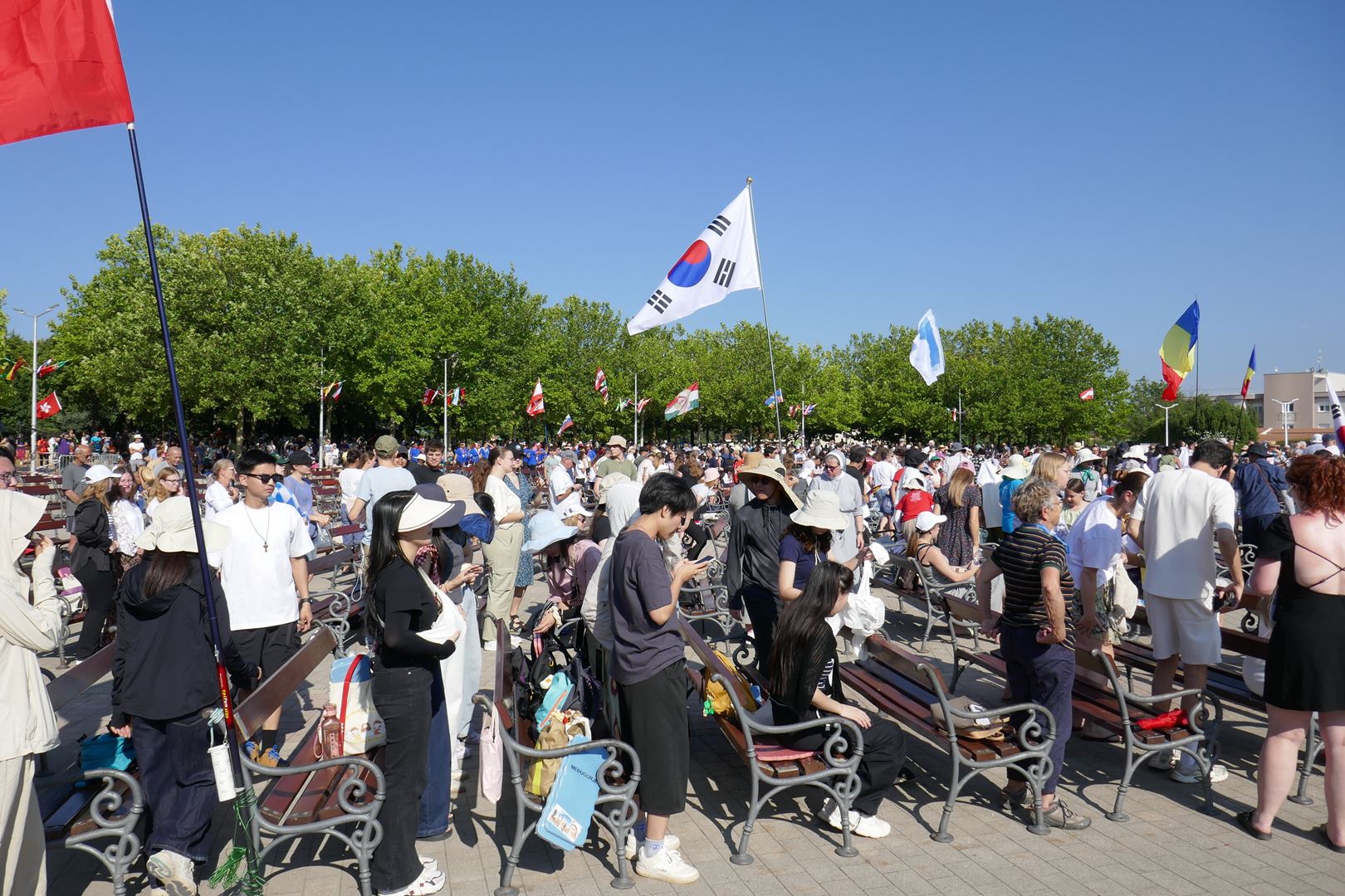 5. 8. D. Predavanja in pričevanja
