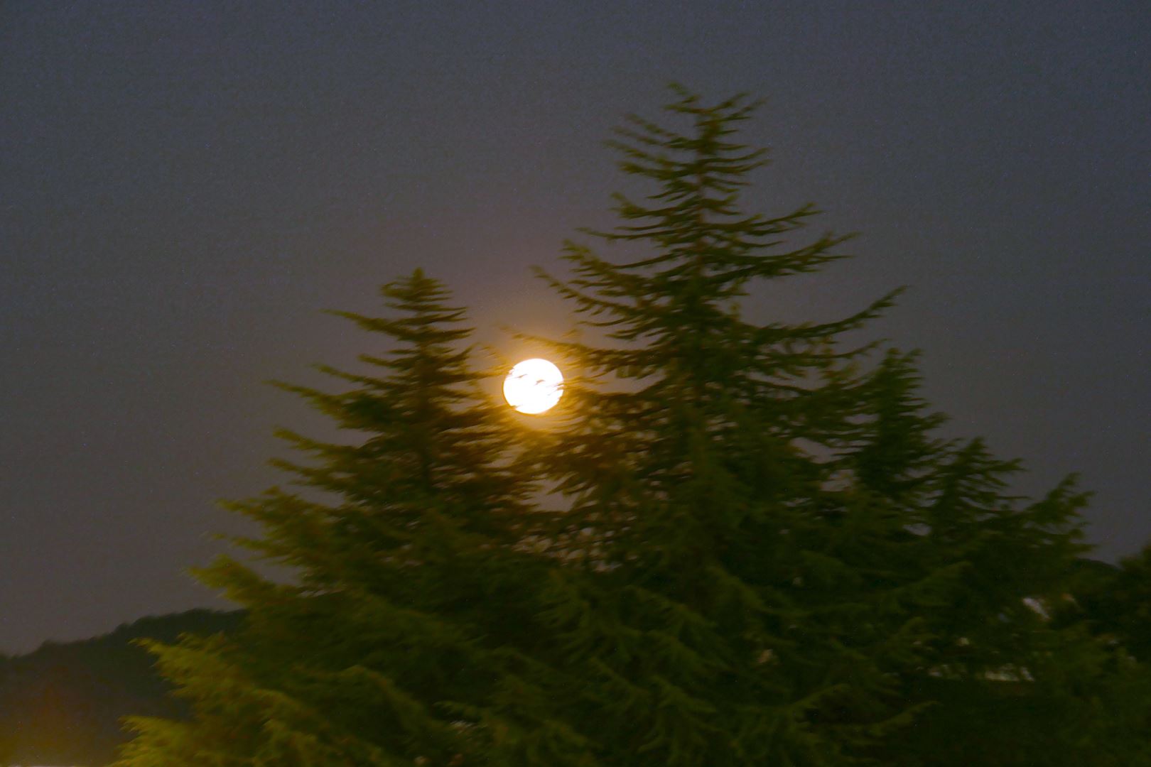 Polna luna