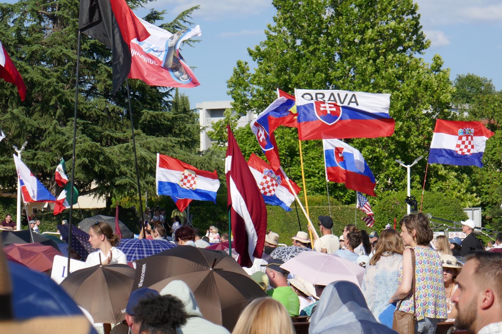 5. 8. P. Predavanja in pričevanja
