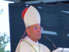 francisassisichullikatt_small.jpg
