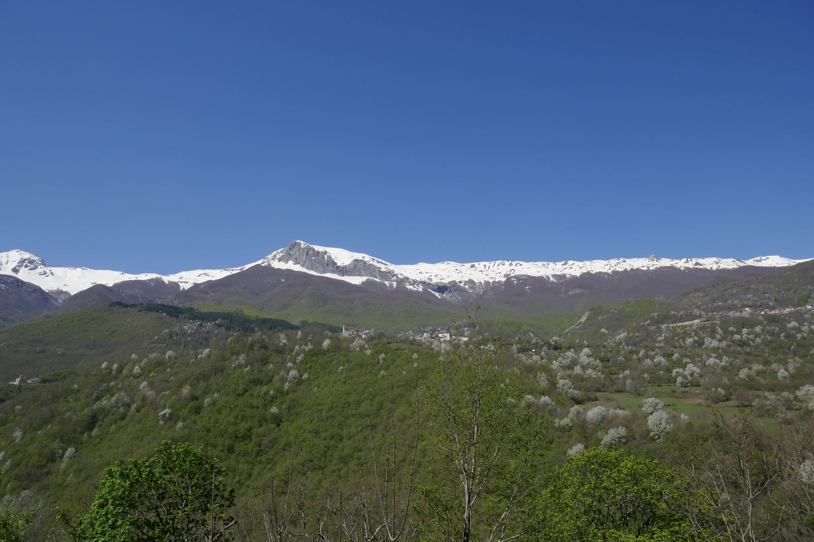 Šarplanina