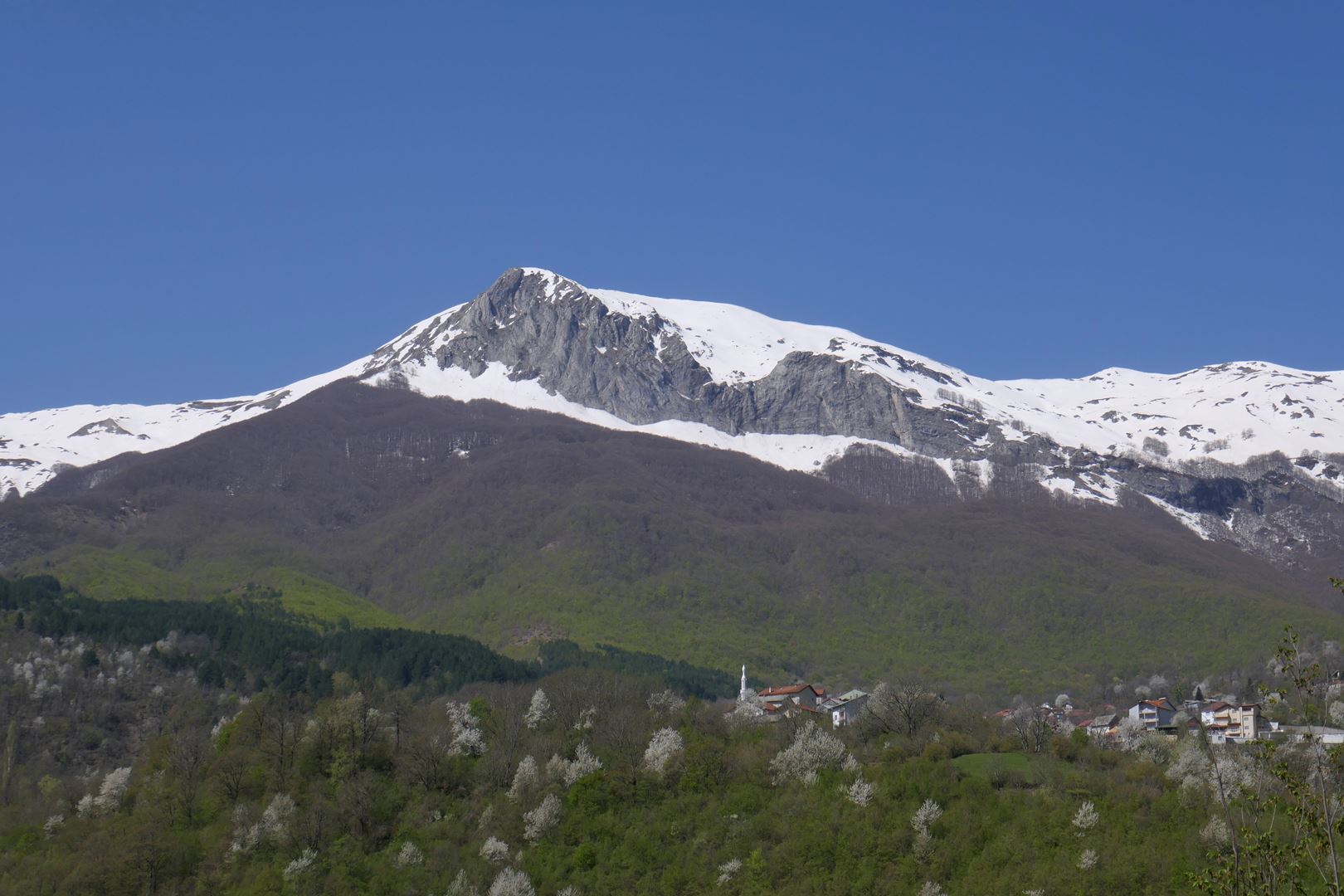 Šarplanina